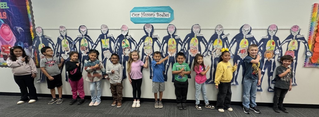 1st grade