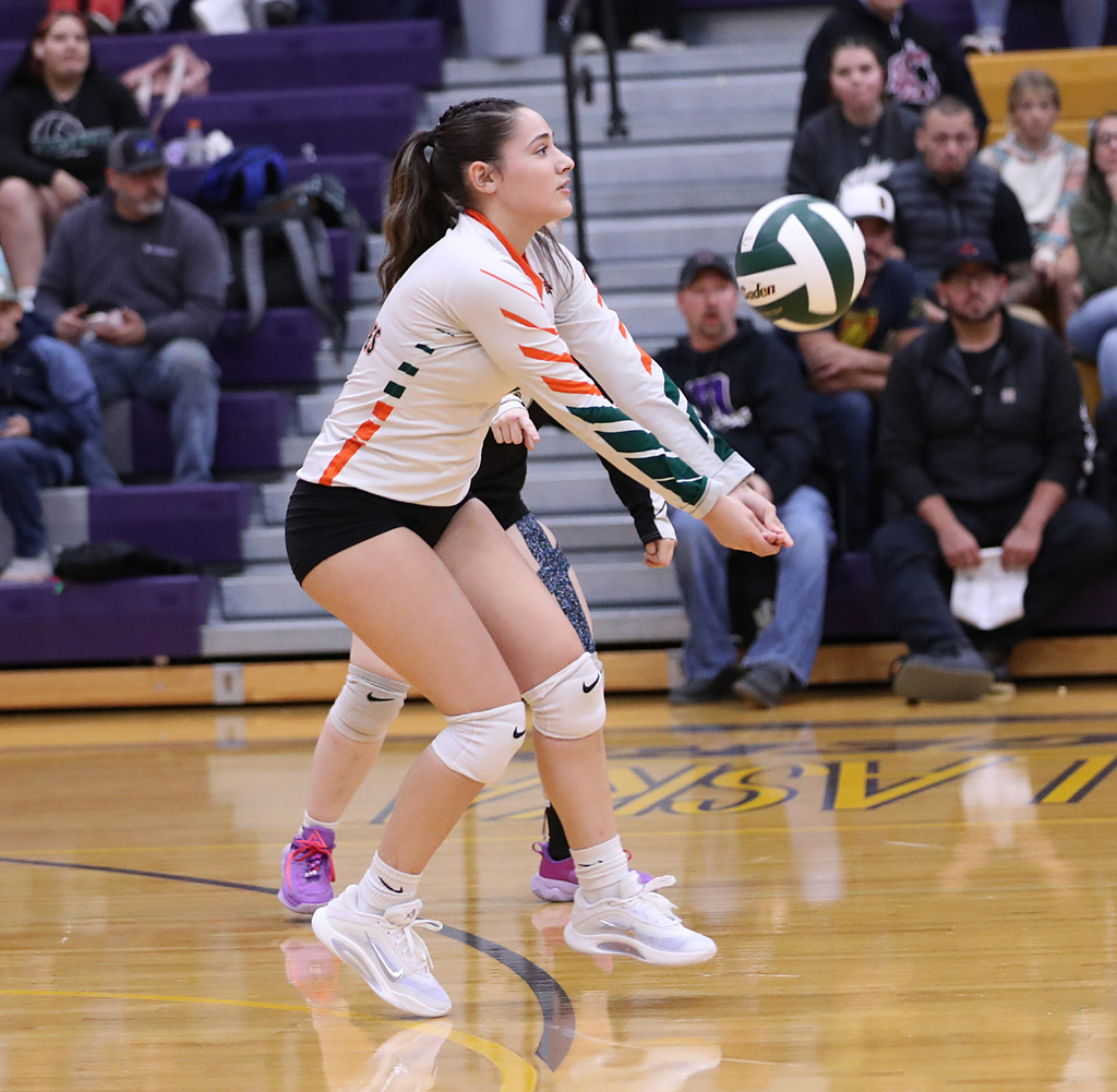 BM6I0181 - Copy - Copy