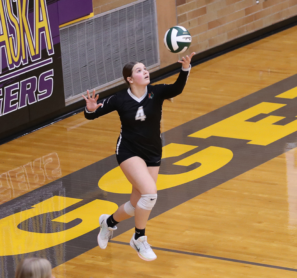 BM6I0591 - Copy - Copy