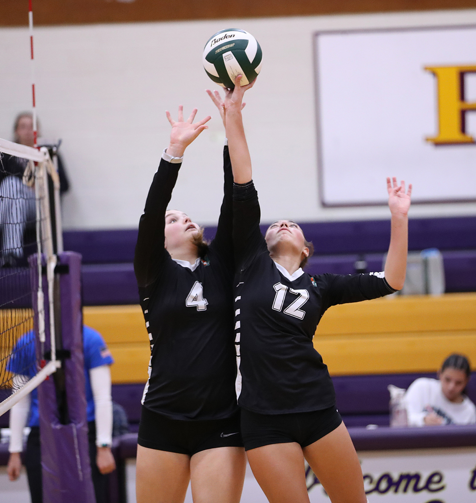 BM6I0386 - Copy - Copy