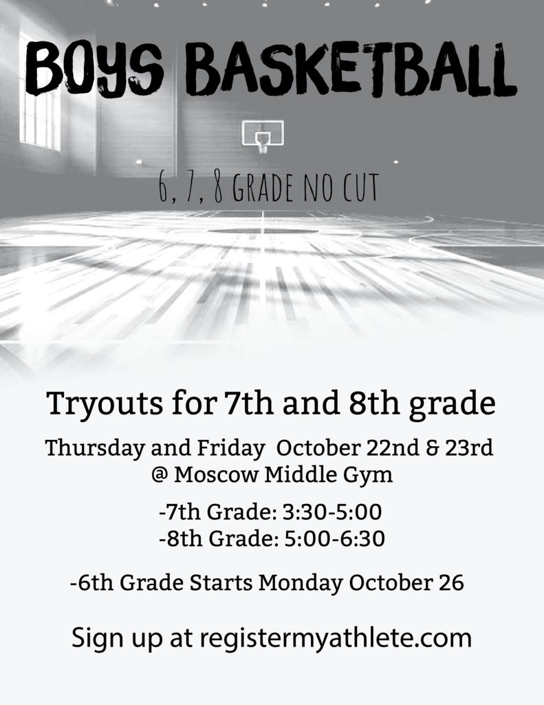 flyer for boys basketball