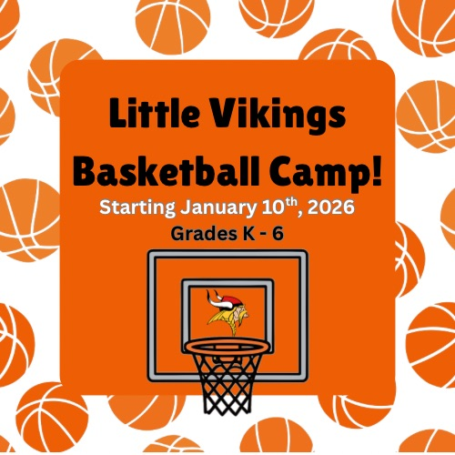 little Viking basketball 