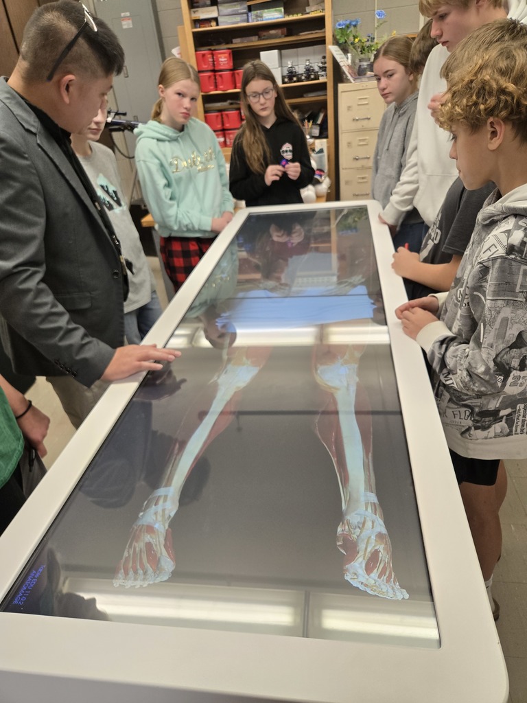 virtual dissection tool