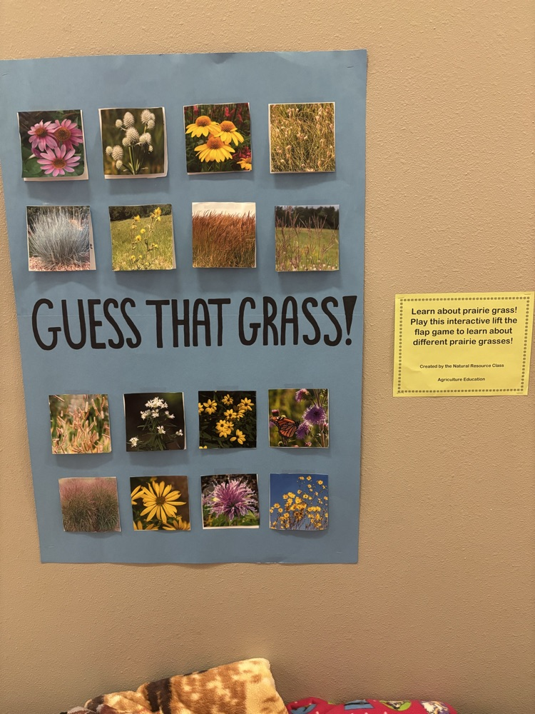 prairie grass lift the flap identification activity 