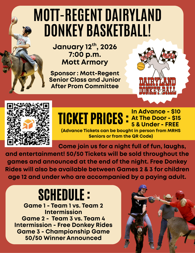 Donkey Basketball
