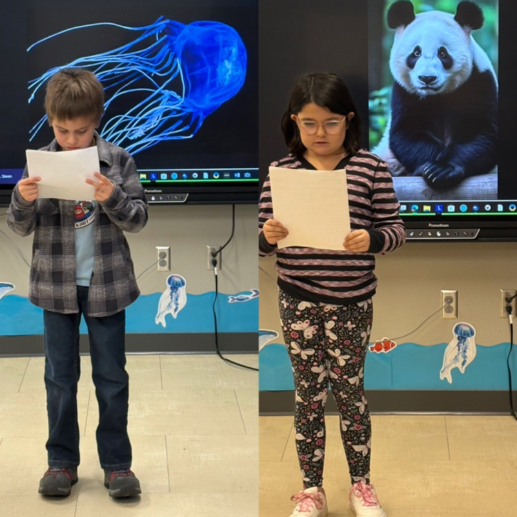 3rd graders shared their animal stories with the class. 