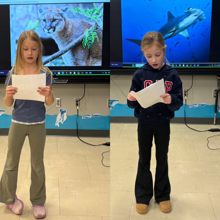 3rd graders shared their animal stories with the class. 