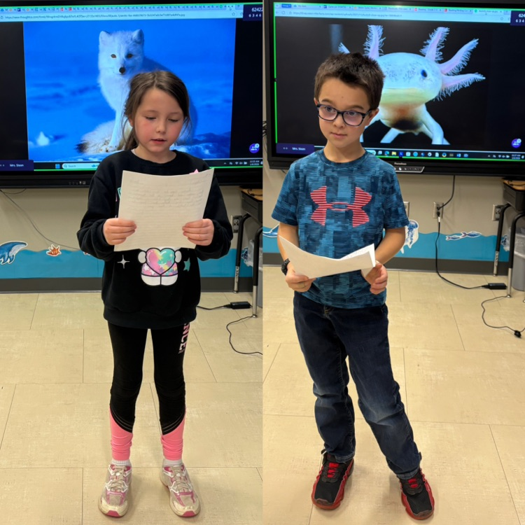 3rd graders shared their animal stories with the class. 