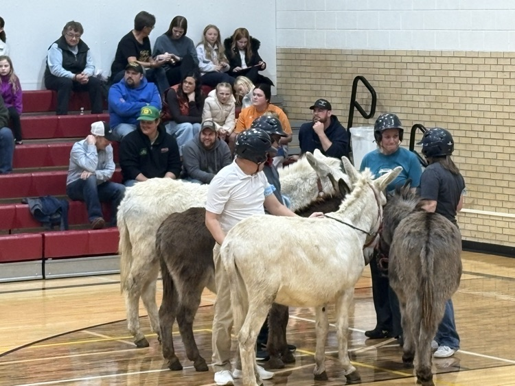 Fun night last night!  🫏🏀