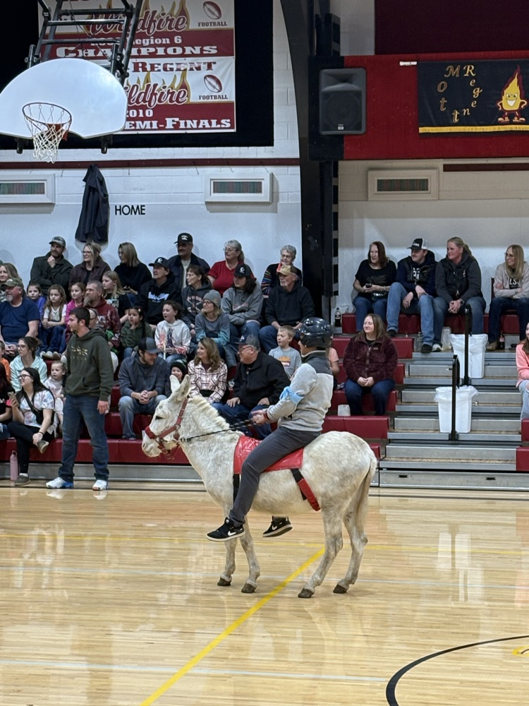 Fun night last night!  🫏🏀