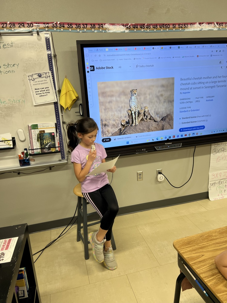 report report report