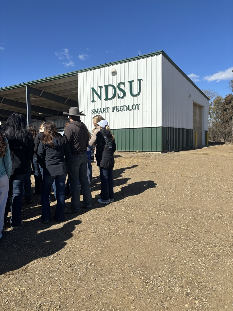 smart feeding feedlot 