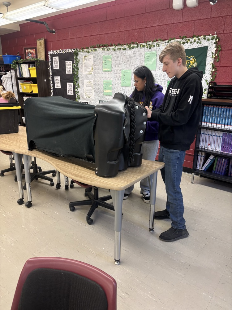 setting up the simulator 