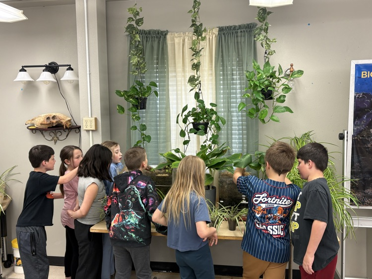 3rd Grade class had the opportunity to visit the Science Lab. Thanks, Mr. Alido! 🌱🔬
