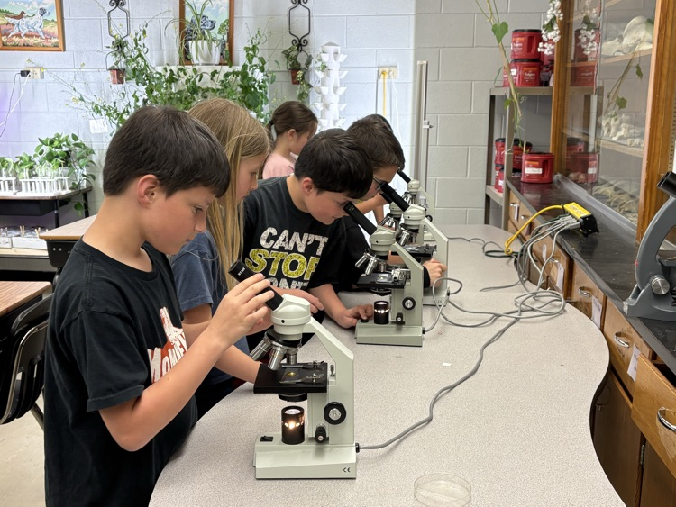 3rd Grade class had the opportunity to visit the Science Lab. Thanks, Mr. Alido! 🌱🔬