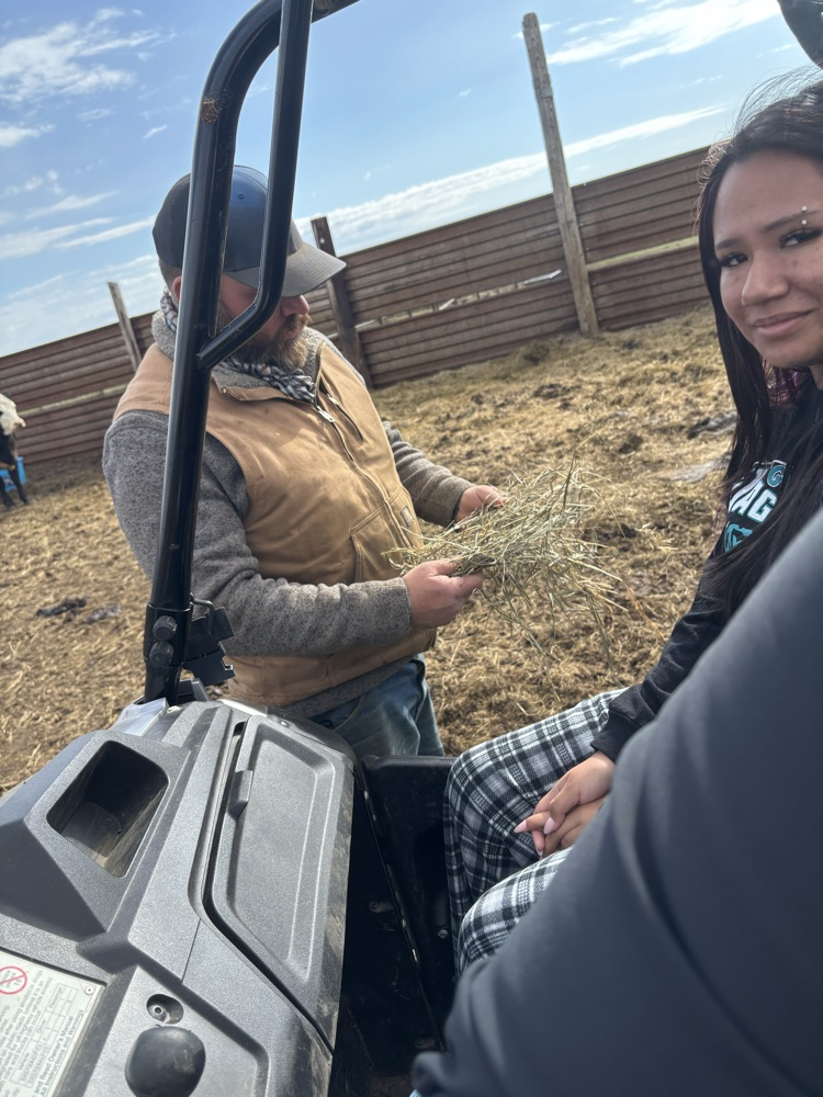 talking about the hay he feeds the cows 
