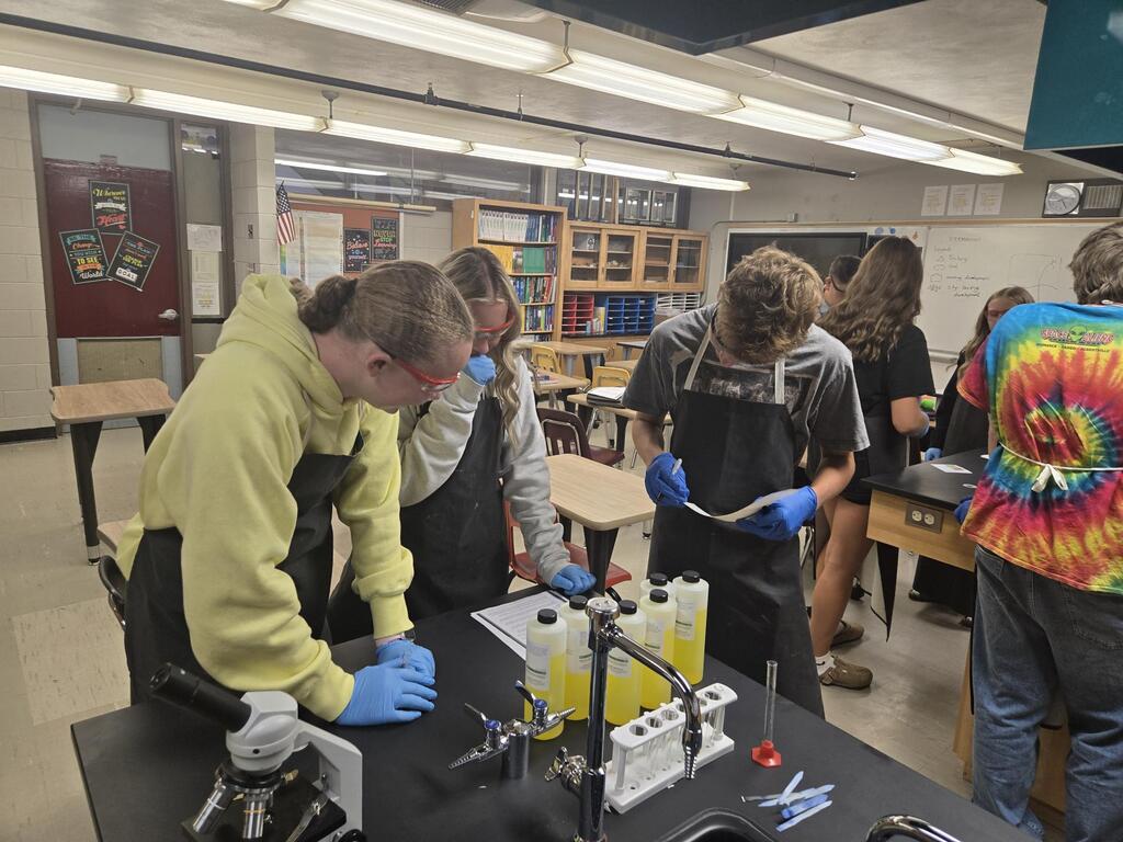 students completing lab