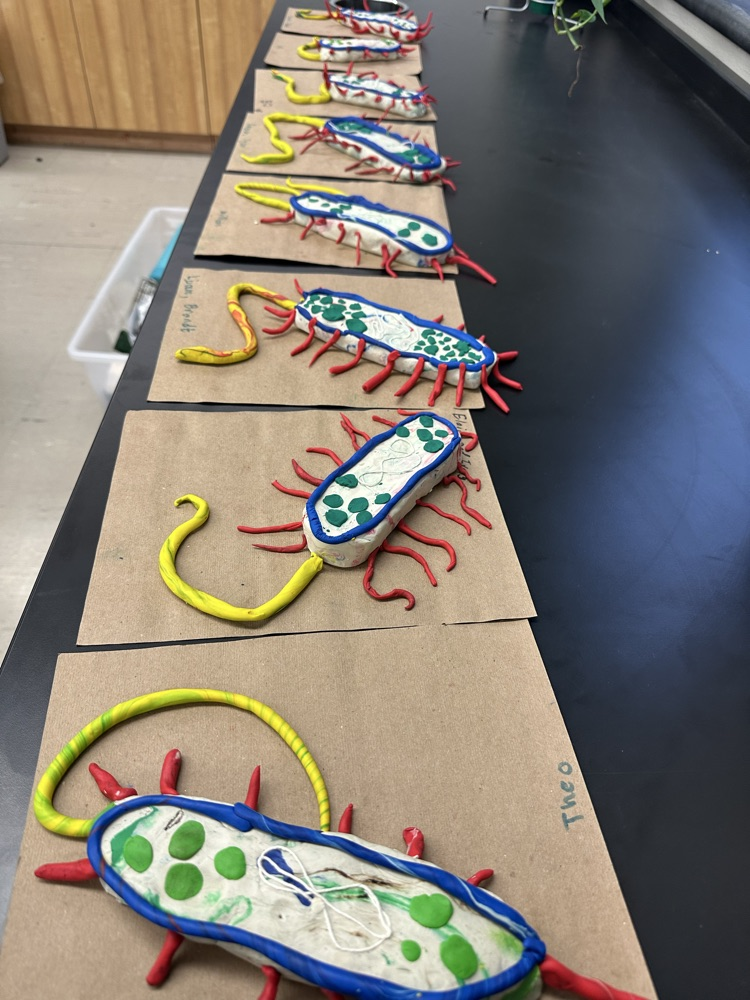 bacteria output