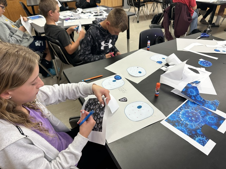 students understand infectious viruses replicated
