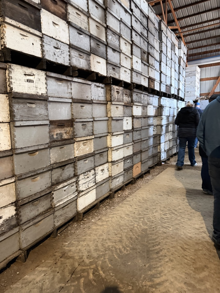 over 35,000 bee boxes