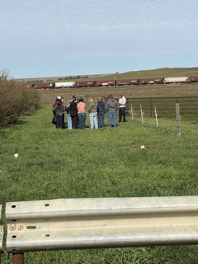 Trapping Activity