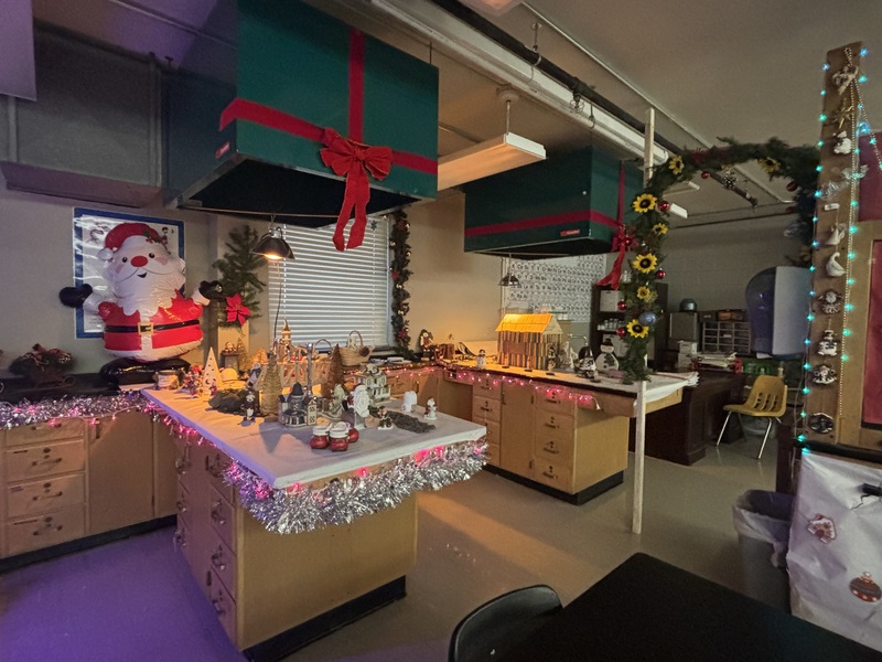 Mr. Alido's Christmas Wonderland
