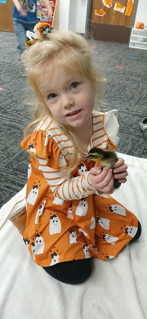 kimberly.lynch@moulton-udell.org