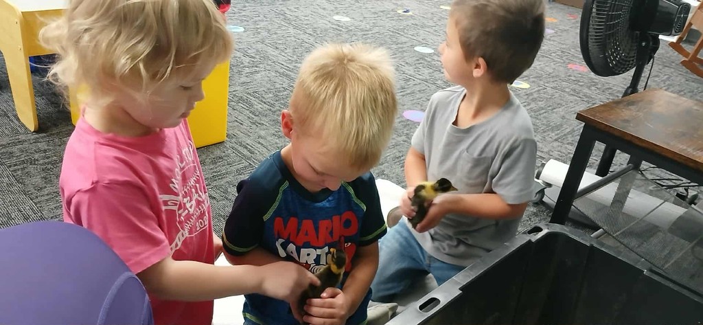 kimberly.lynch@moulton-udell.org