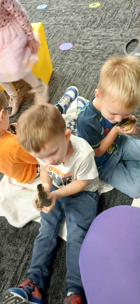 kimberly.lynch@moulton-udell.org