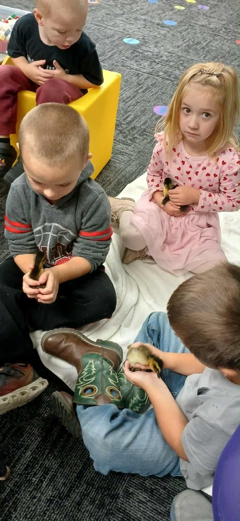 kimberly.lynch@moulton-udell.org