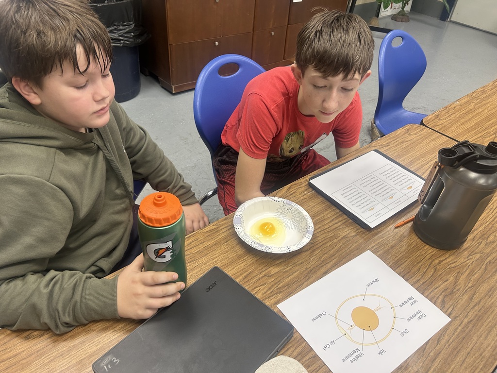 students cracking open eggs