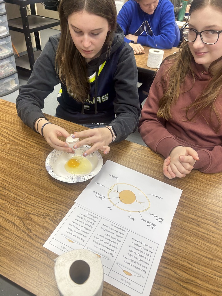 students cracking open eggs