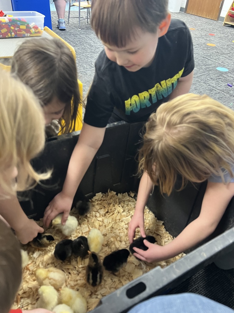 kimberly.lynch@moulton-udell.org