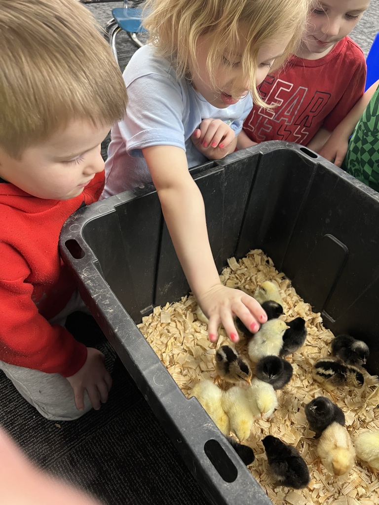 kimberly.lynch@moulton-udell.org