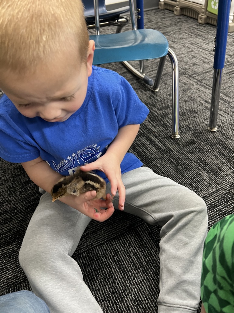 kimberly.lynch@moulton-udell.org