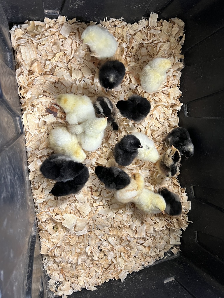 kimberly.lynch@moulton-udell.org