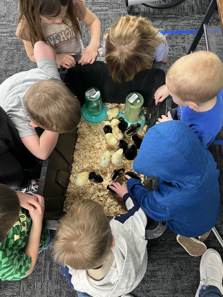 kimberly.lynch@moulton-udell.org