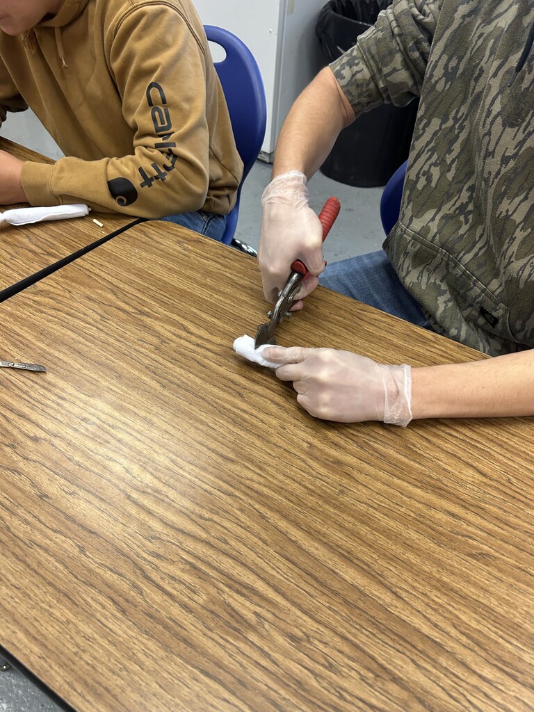 surgery