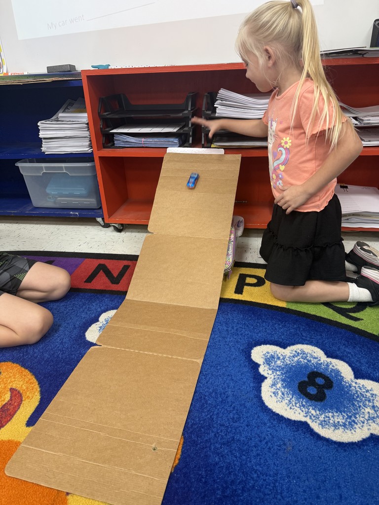 1st Grade Force and Motion