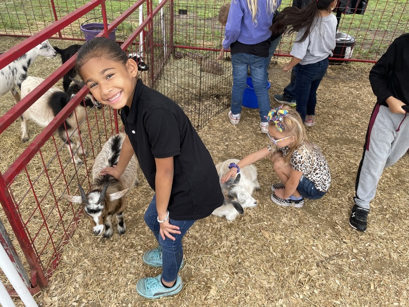 1st and 3rd Corn Maze Moulton Elementary School
