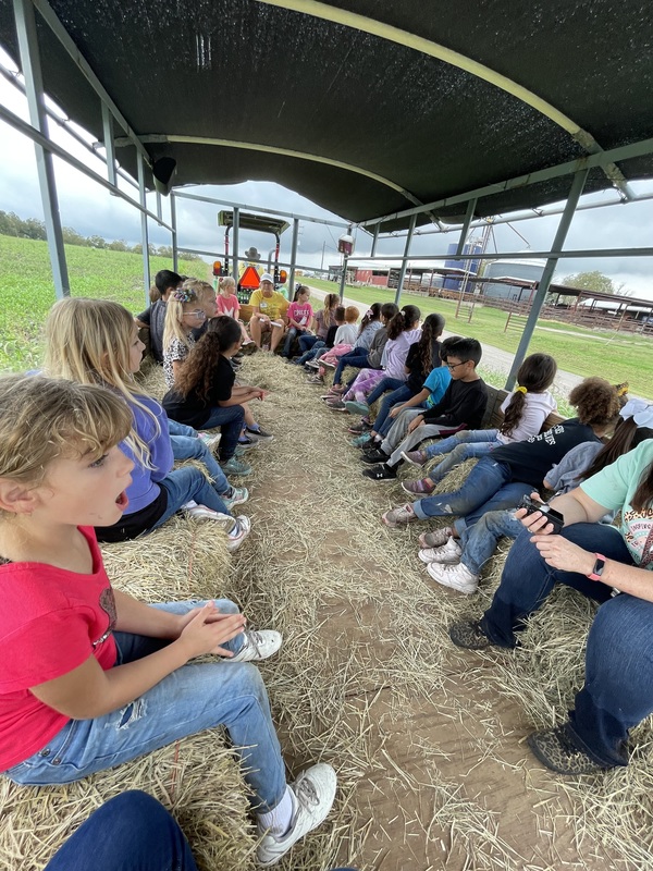1st and 3rd Corn Maze Moulton Elementary School