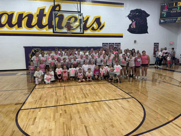 Pink Out for so many! #Panthers 