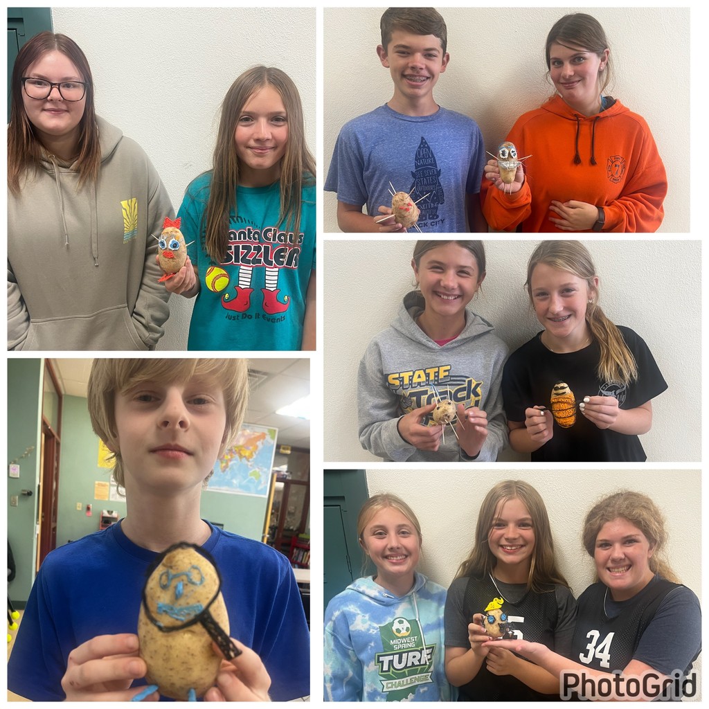 STEAM Club
