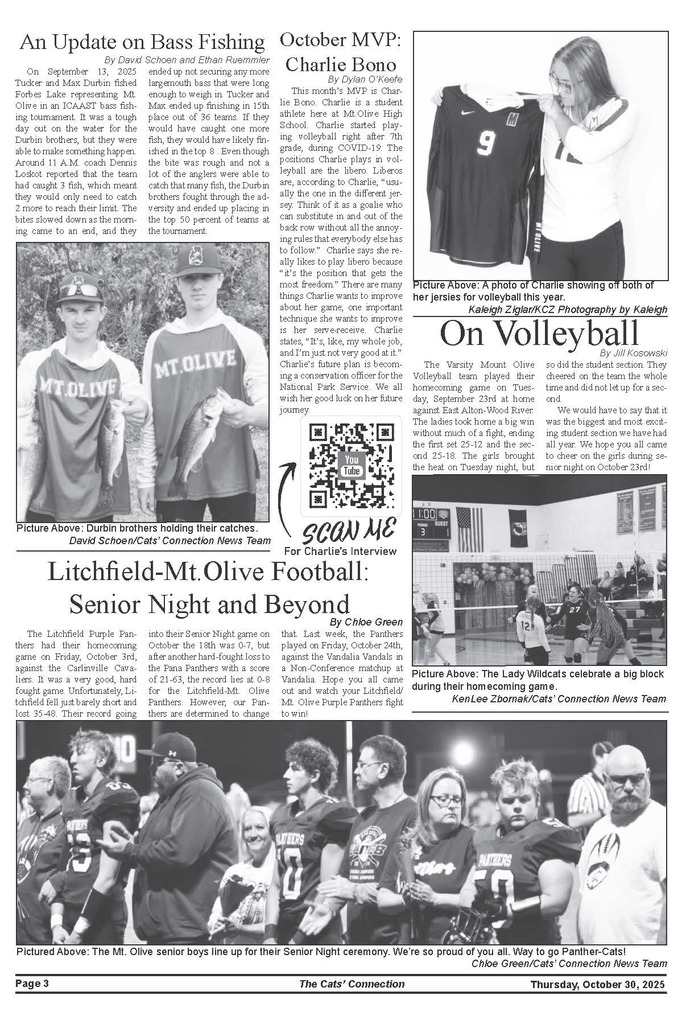 October Cats' Connection