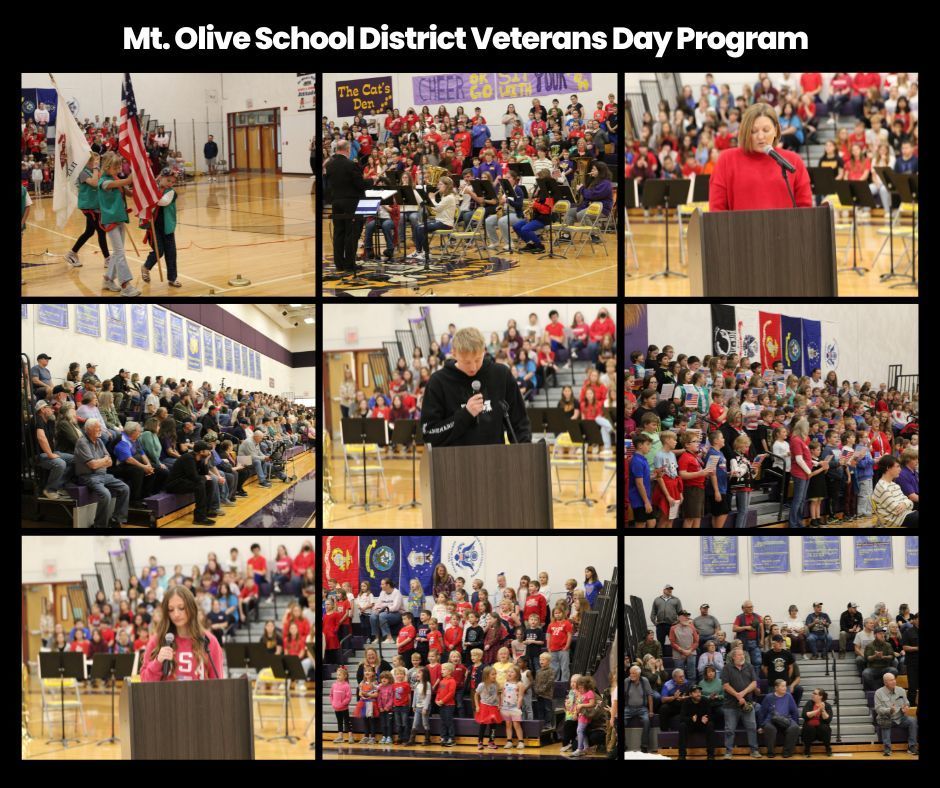 Veterans Day Program