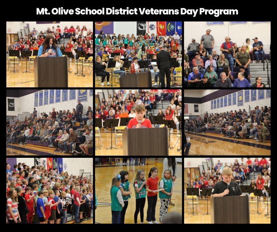 Veterans Day Program