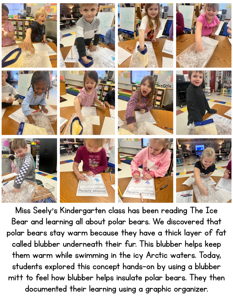 Kindergarten Blubber Activity
