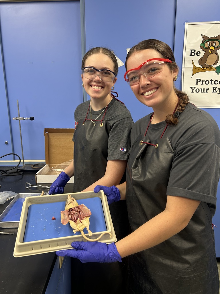 Rat Dissection