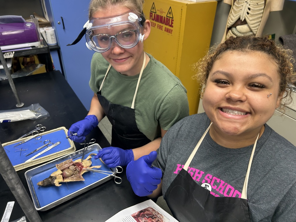 Rat Dissection