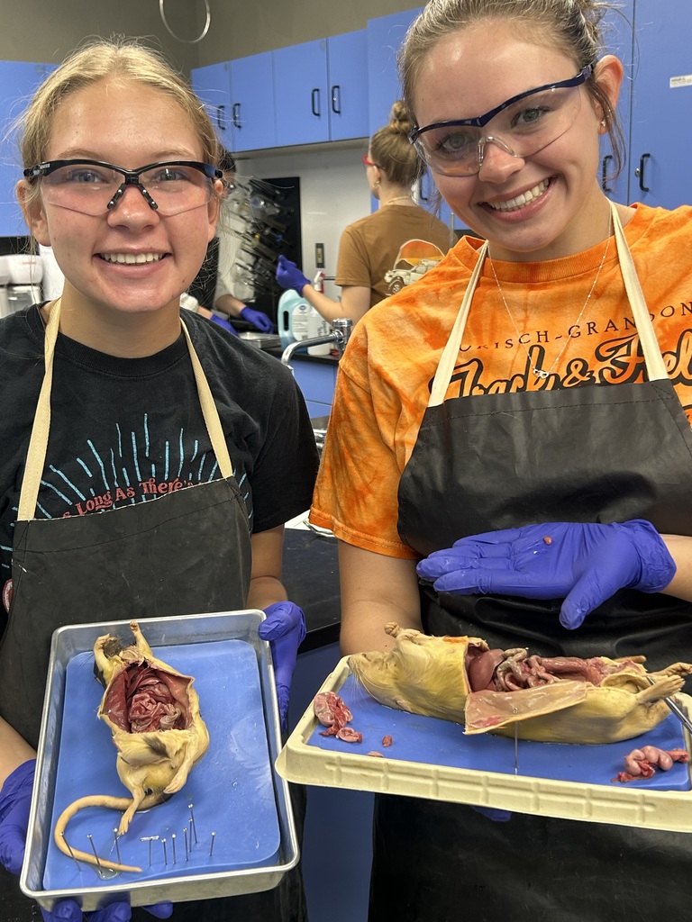 Rat Dissection